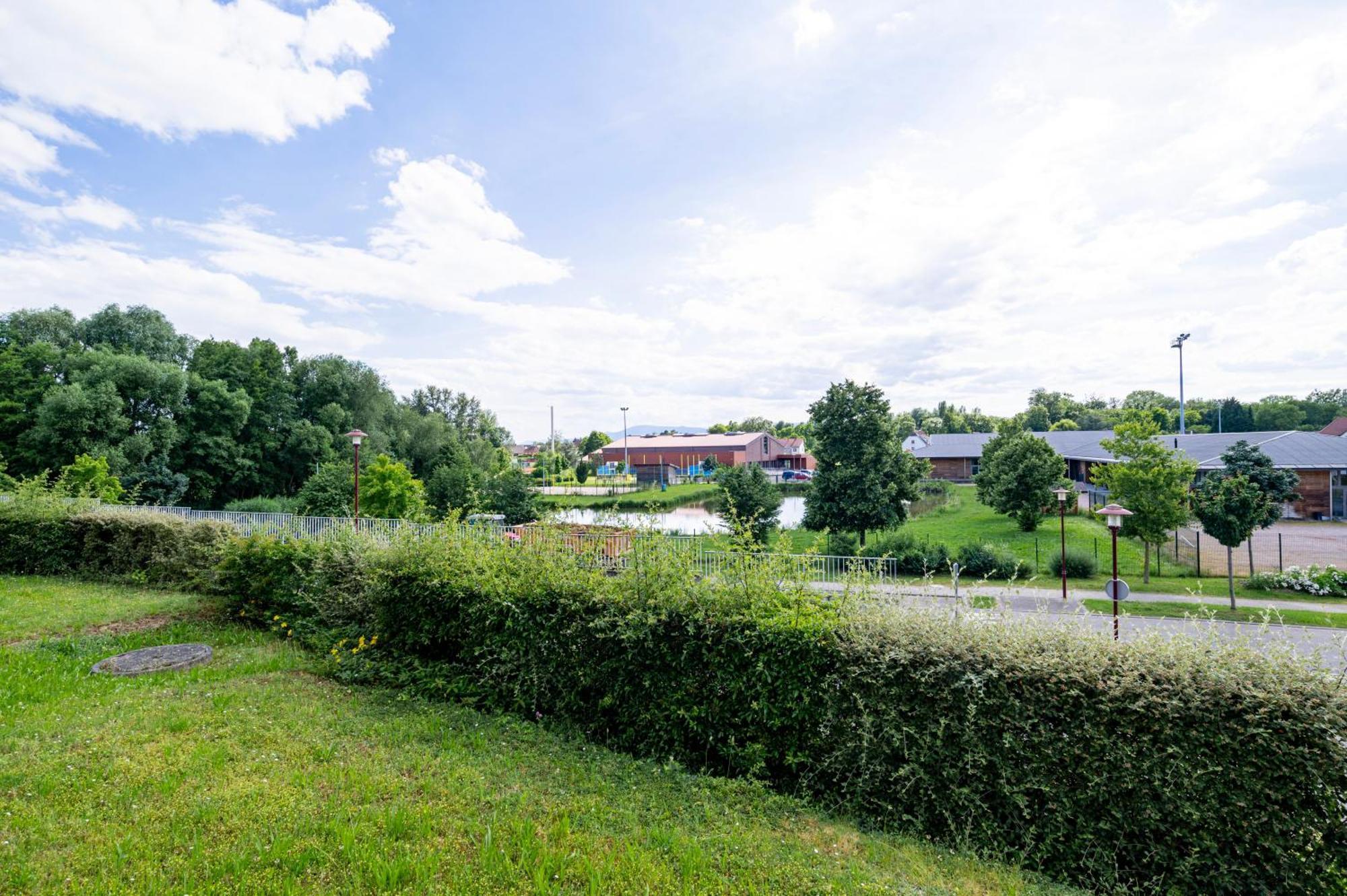 Chez Virgil - Terrasse Vue Degagee, Parking Prive Apartment Ernolsheim-Bruche Bagian luar foto
