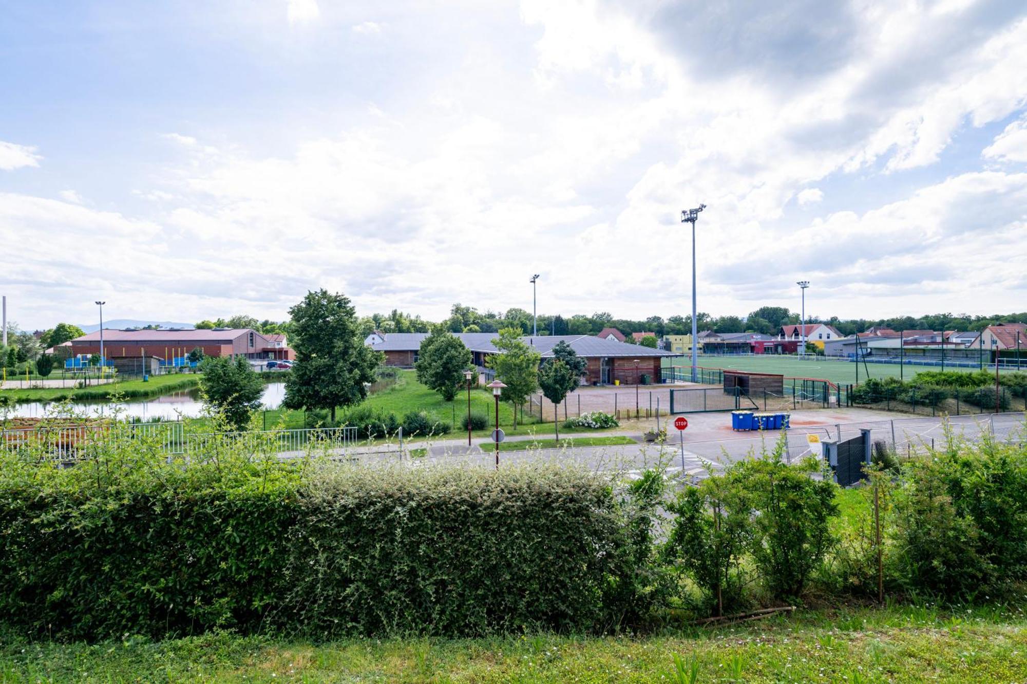 Chez Virgil - Terrasse Vue Degagee, Parking Prive Apartment Ernolsheim-Bruche Bagian luar foto